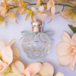 Perfumes amaderados: el bosque en tu piel