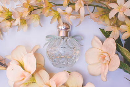 Perfumes amaderados: el bosque en tu piel